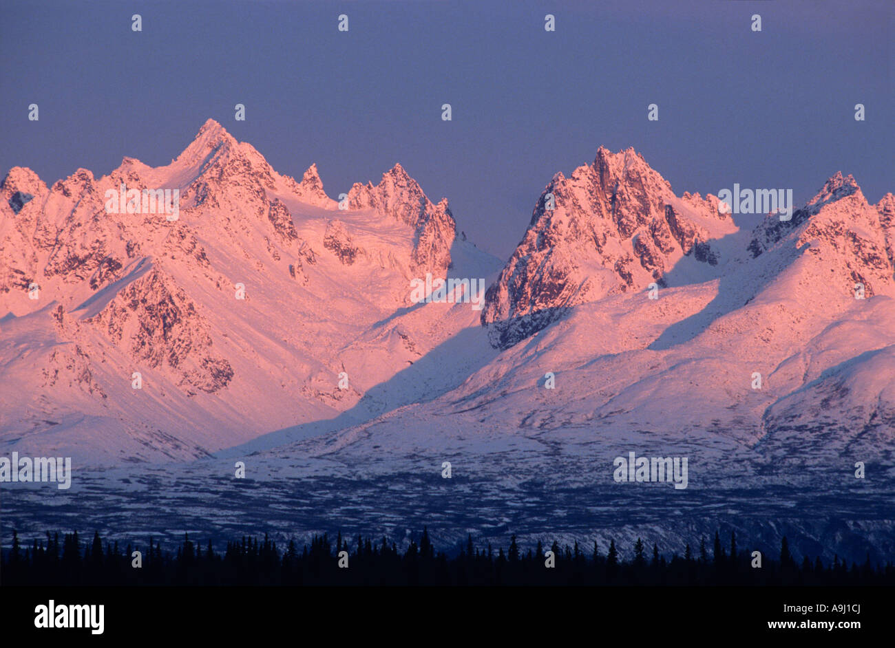 USA Alaska Denali National Park Rising Wintersonne leuchtet Alaskakette Gipfeln entlang Chulitna Stockfoto