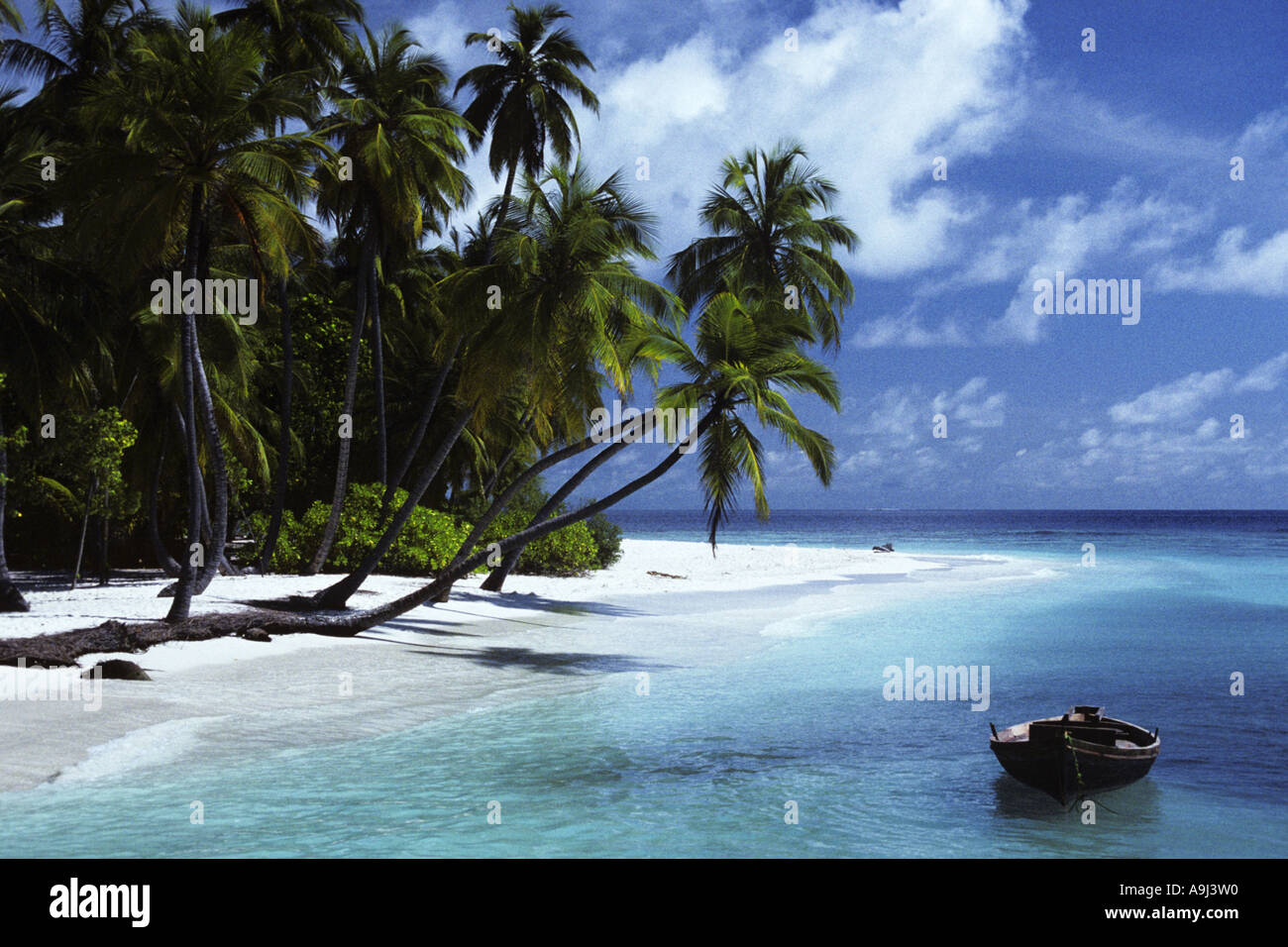 Boot, Strand und Palmen Bäume, Malediven, Kuda Bandos Stockfoto