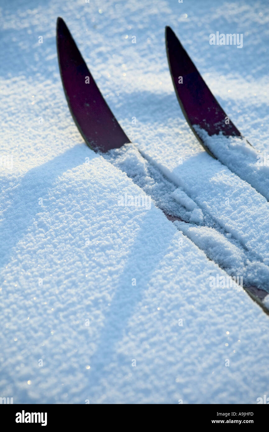 Ski im Schnee Stockfoto