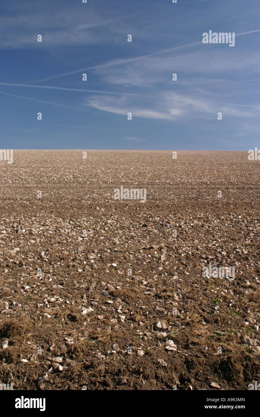 South Downs West Sussex England April 2007 Stockfoto