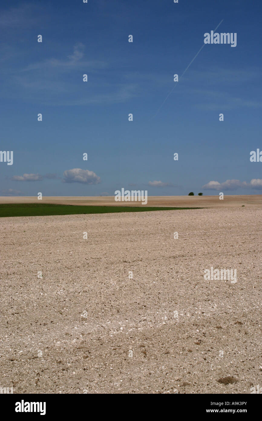 South Downs West Sussex England April 2007 Stockfoto