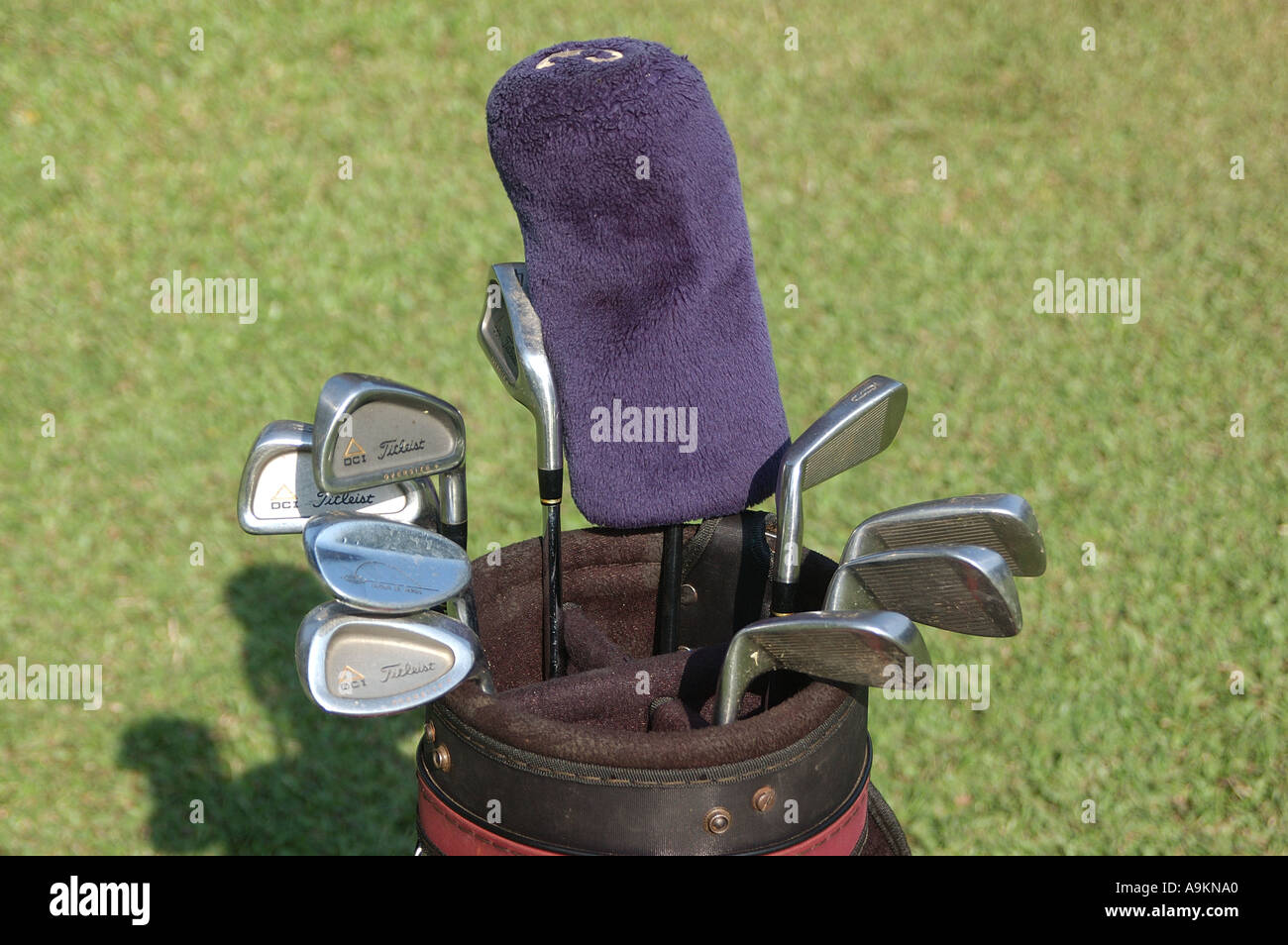 ANG99230-Golf-Clubs in Clubs tragen Beutel Chembur Mumbai Indien Stockfoto