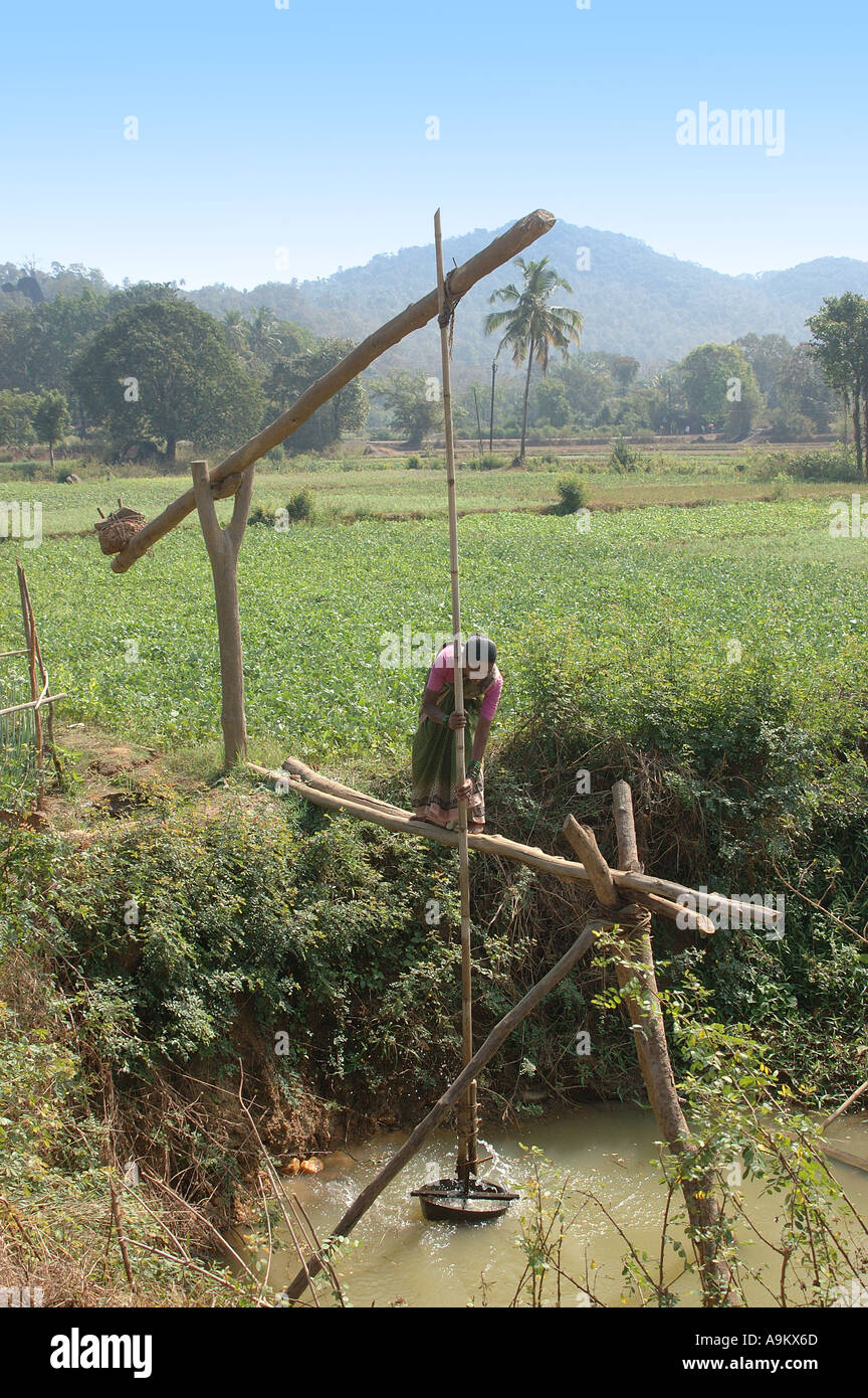 Wasserauftrieb Bewässerung manuell von Frau, Konkan, Maharashtra, Indien Stockfoto