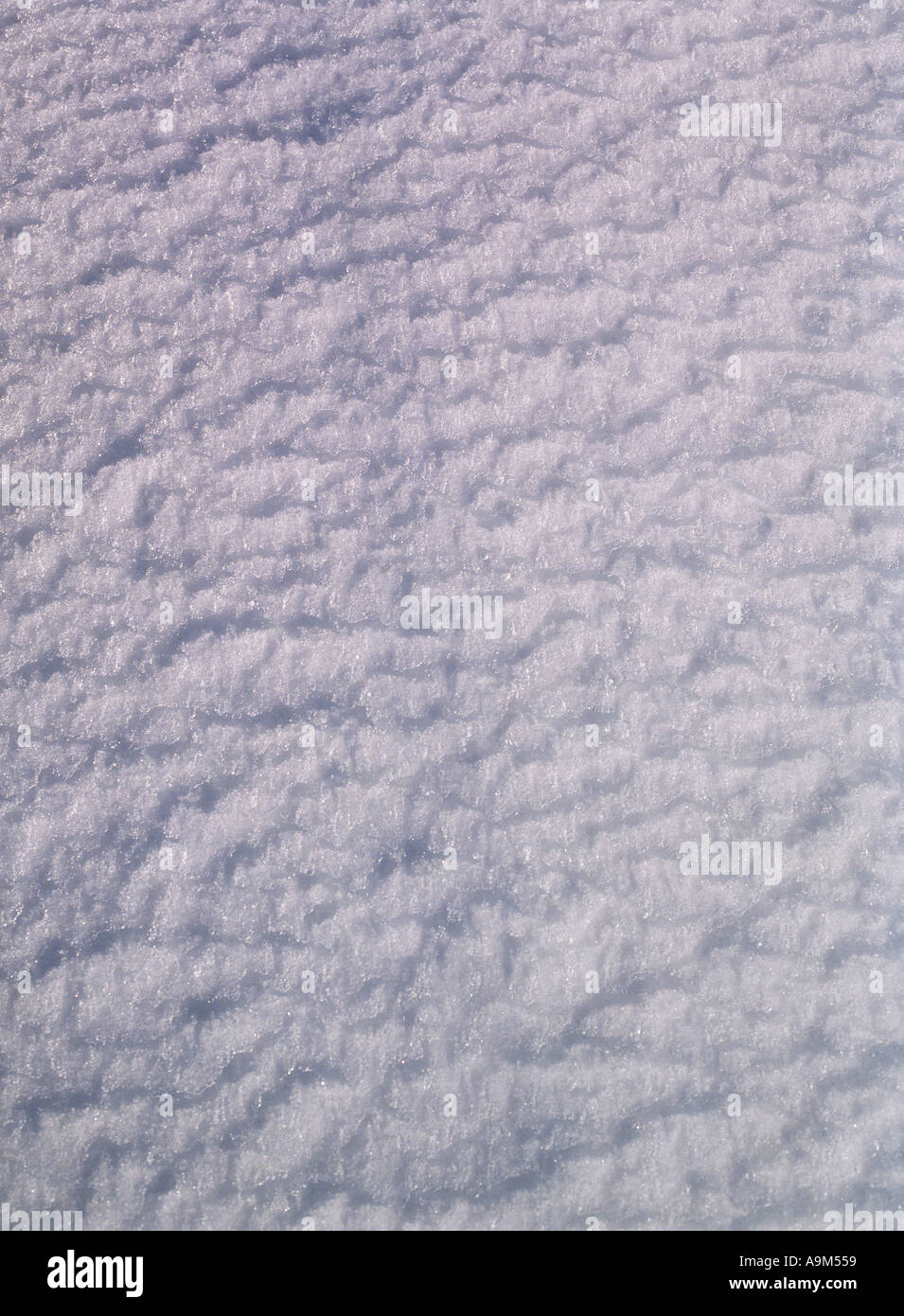 dh SCHNEE HINTERGRUND Nahaufnahme von weißem Schnee zurück fallen Hintergrund Textur eisigen Muster Boden winterlich Stockfoto
