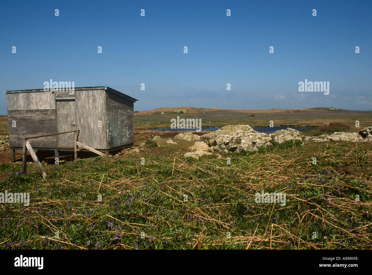 Öffentlichkeit Vogelbeobachtung Hide Skomer Island Pembrokeshire West Wales RL Stockfoto