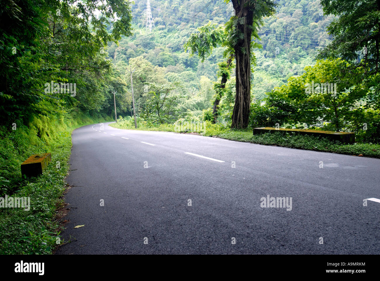 DIE STRAßE NACH MUNNAR KERALA Stockfoto