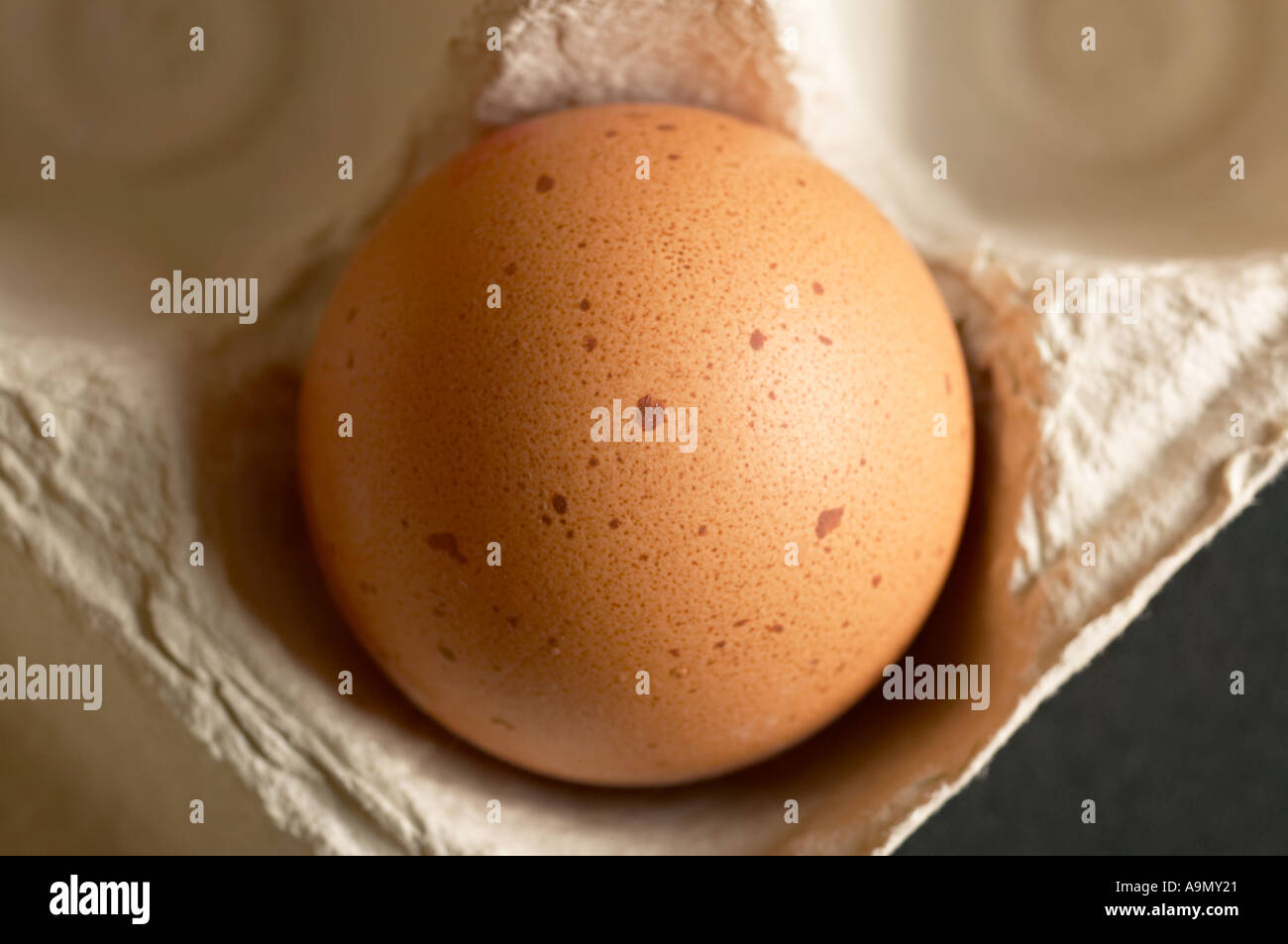 braunen Eiern Stockfoto