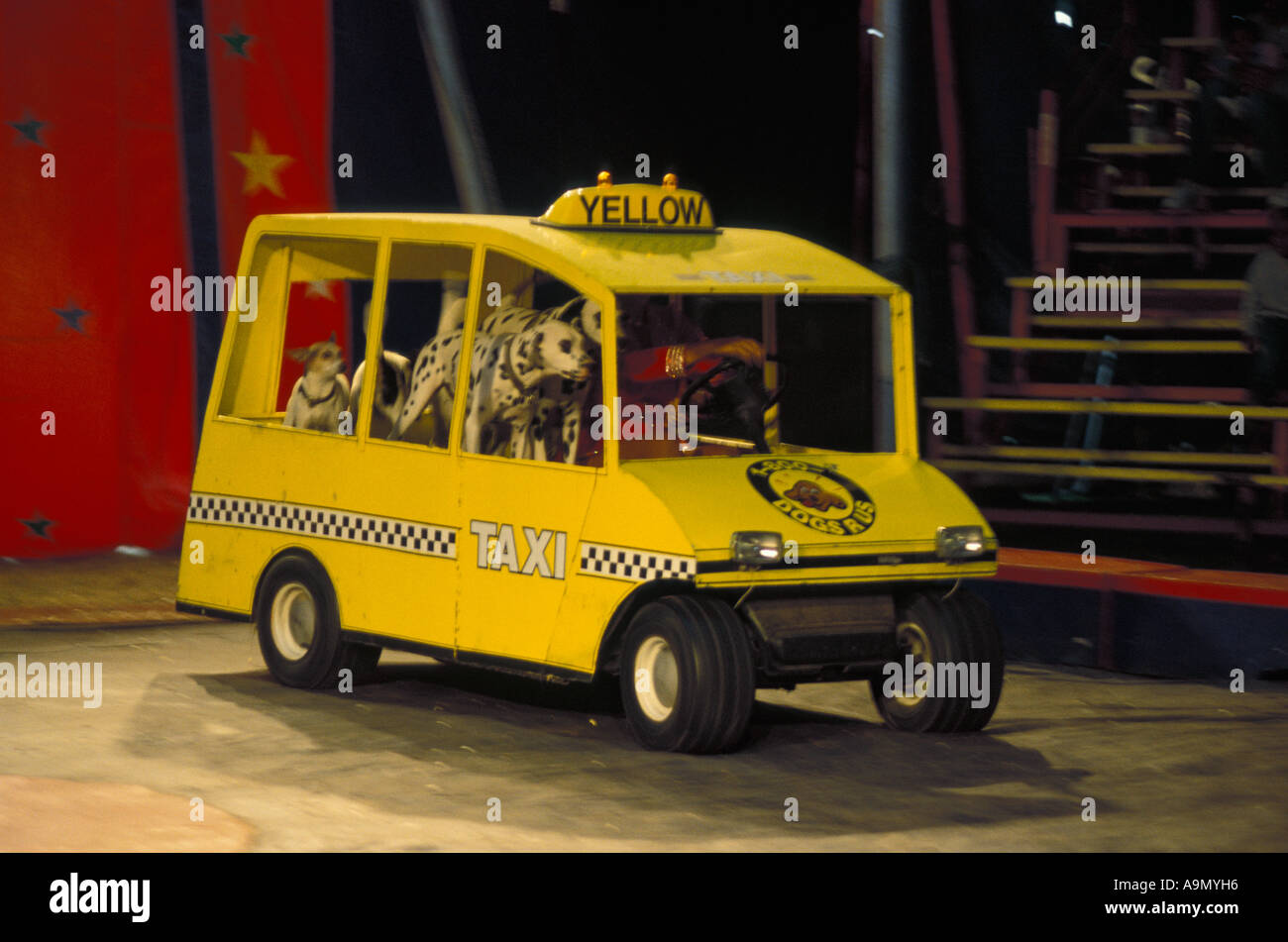 Bentley Bros Brothers Zirkus gelbe Clown Auto Hund handeln American US-Vereinigte Staaten Stockfoto
