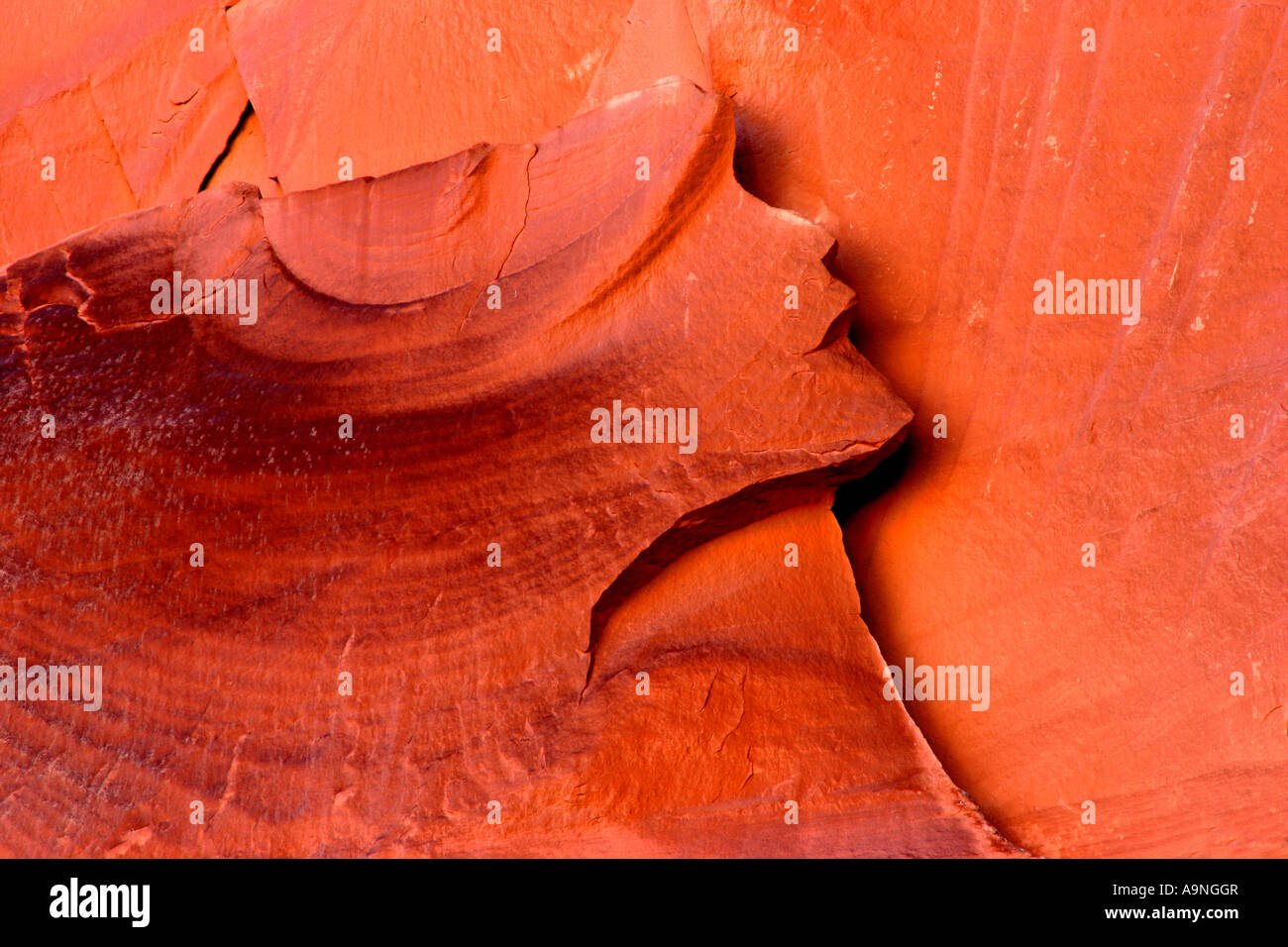 die indianische Prinzessin, utah Stockfoto