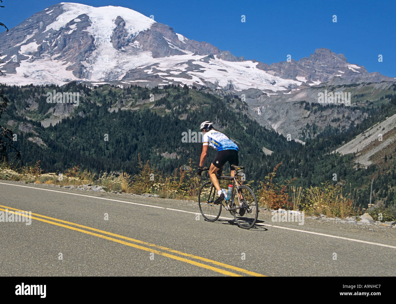 MOUNT RAINIER Nationalpark WASHINGTON STATE USA Ansicht des Mount Rainier von Stevens Canyon Road mit ein Radfahrer mit einem Hügel Stockfoto