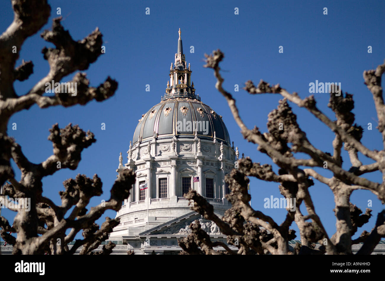 San Francisco City Hall Stockfoto