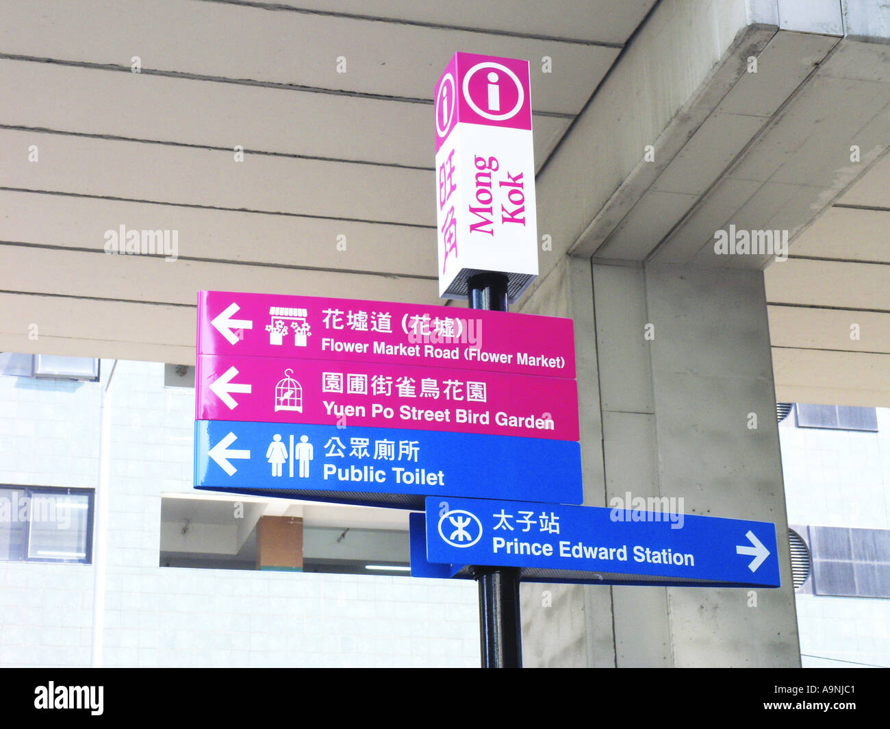 Zeichen symbol Symbol Straße von Mongkok Mong Kok Kowloon Hong Kong China chinesische Asien Asiatische Blume Reisemarkt Yuen Po Prince Edwar Stockfoto