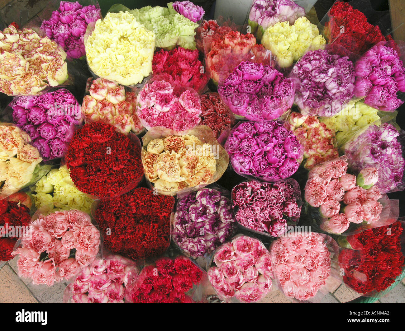 China Hong Kong Kowloon Mong Kok Blumenmarkt Straße Stockfoto
