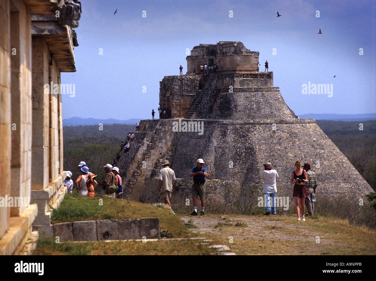 MAYA TEMPEL BETRACHTET DIE PYRAMIDE DES ZAUBERERS AUS GOUVERNEURSPALASTES UXMAL-YUCATAN-MEXIKO Stockfoto