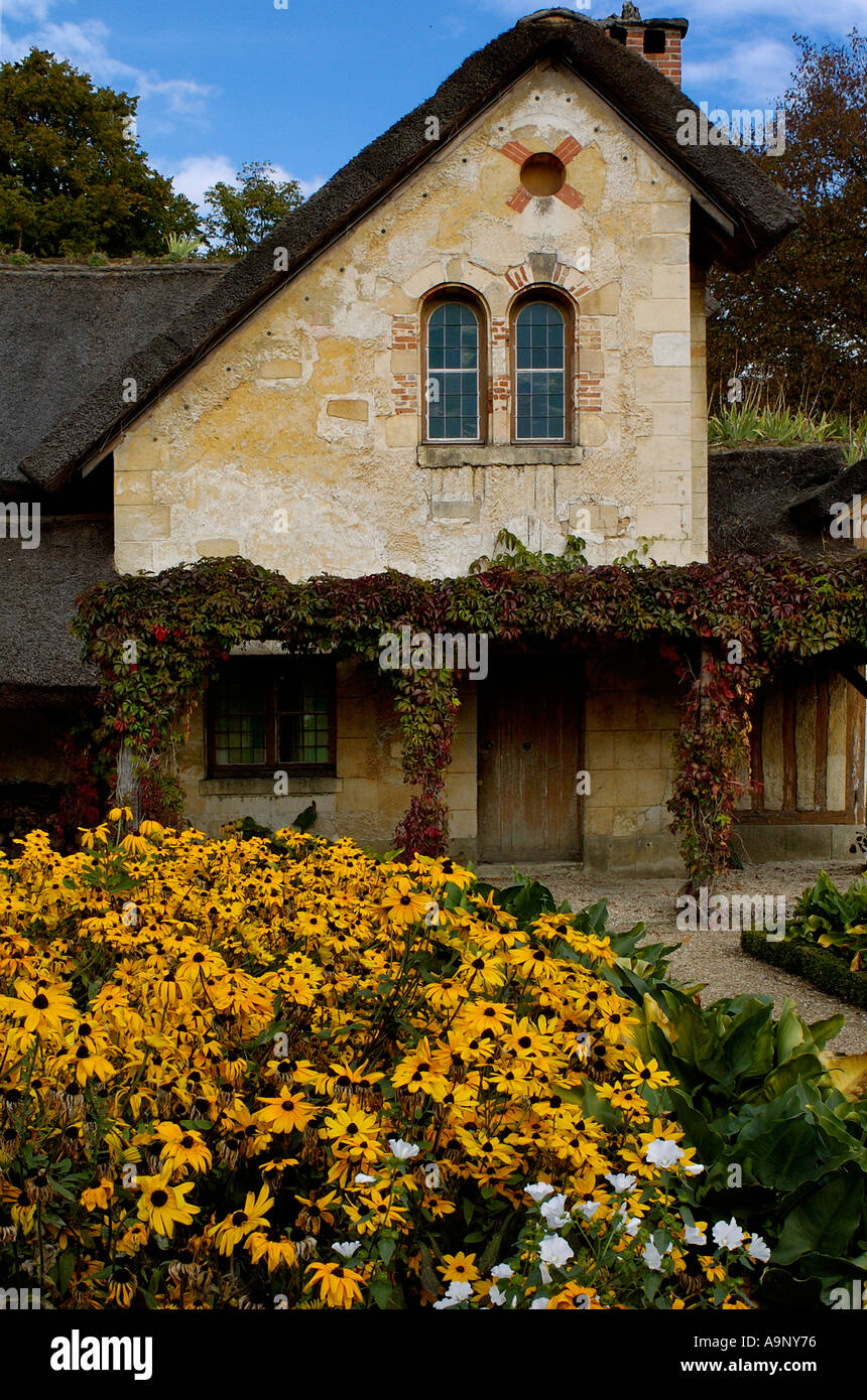 Altes Haus auf dem Feld von Sonnenblumen Frankreich Stockfoto