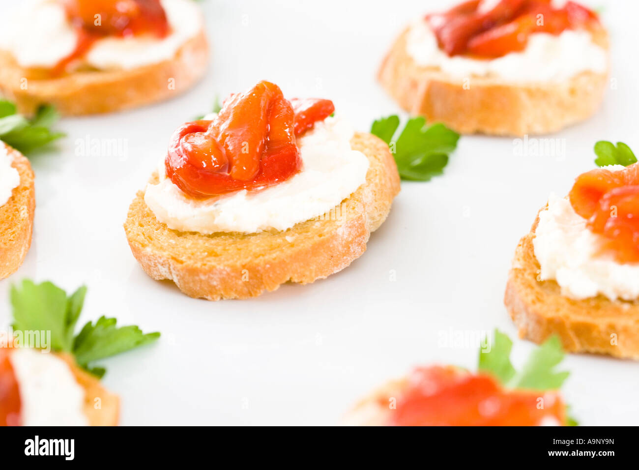 Ziegenmilch Käse und Pfeffer crostini Stockfoto