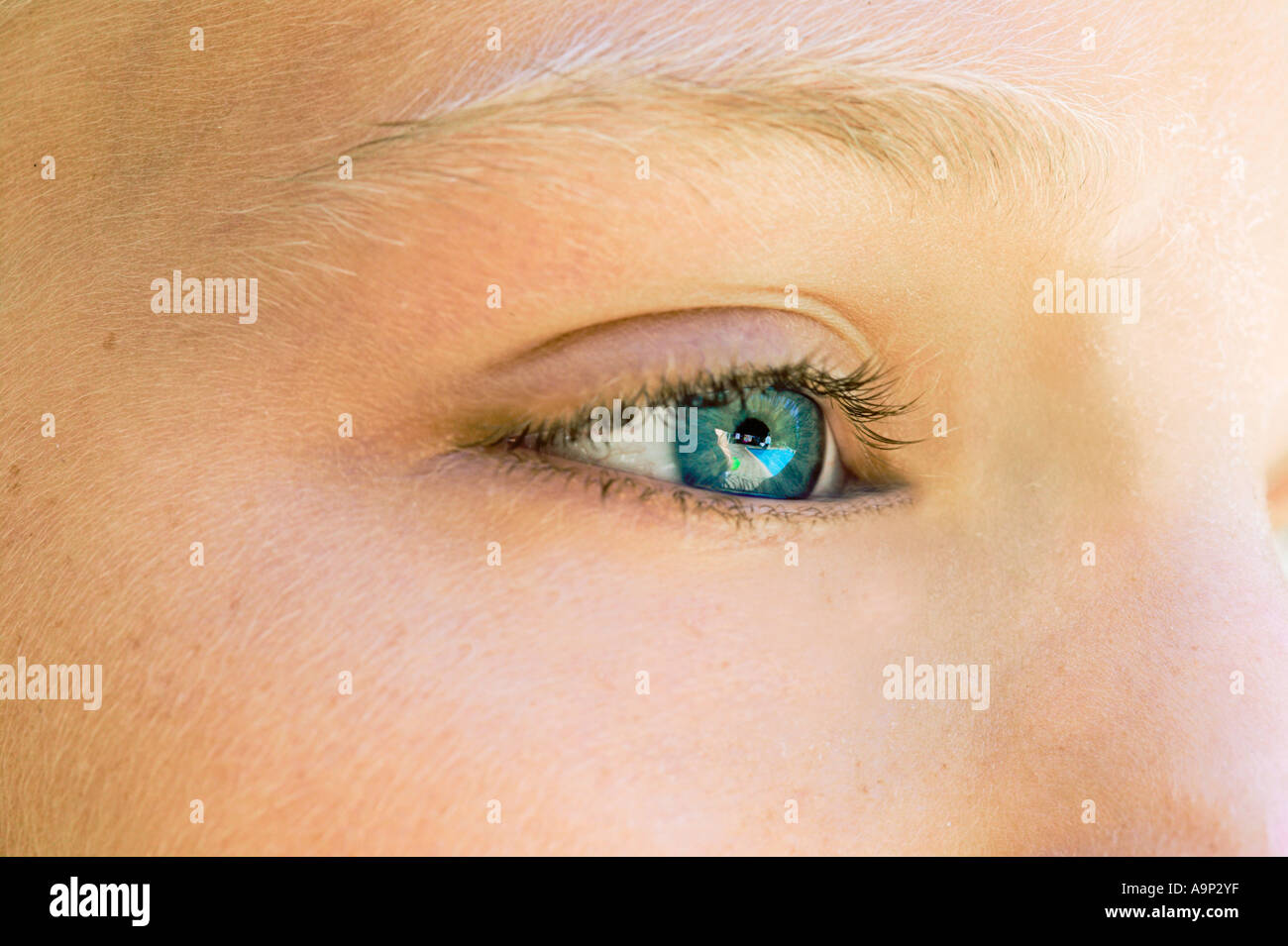 Nahaufnahme von jungen weiblichen Augen und Augenbrauen Stockfoto