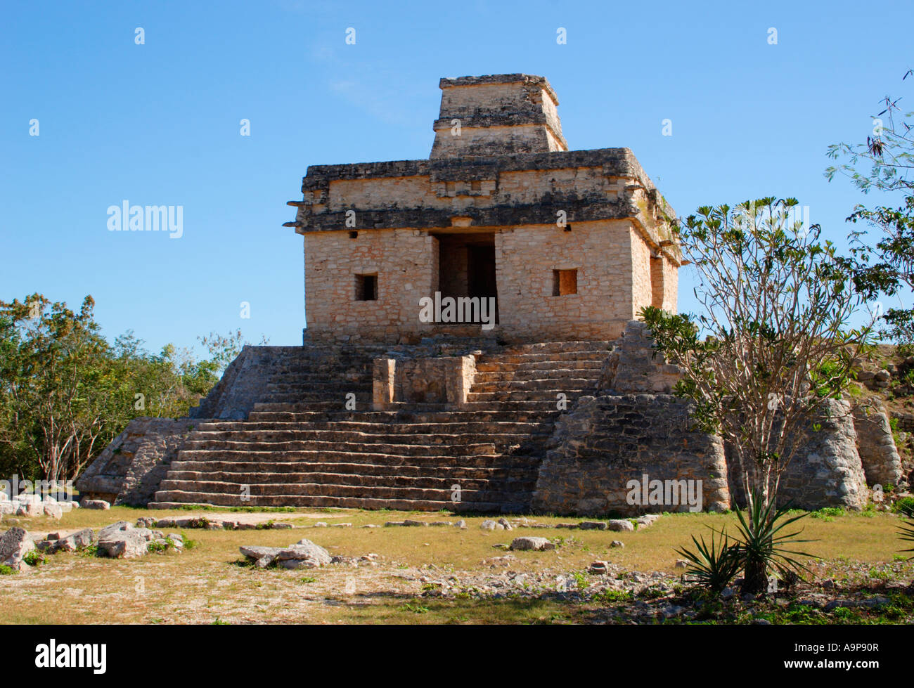 Maya archäologische Ruinen, Dzibilchaltun, Yucatan, Mexiko Stockfoto