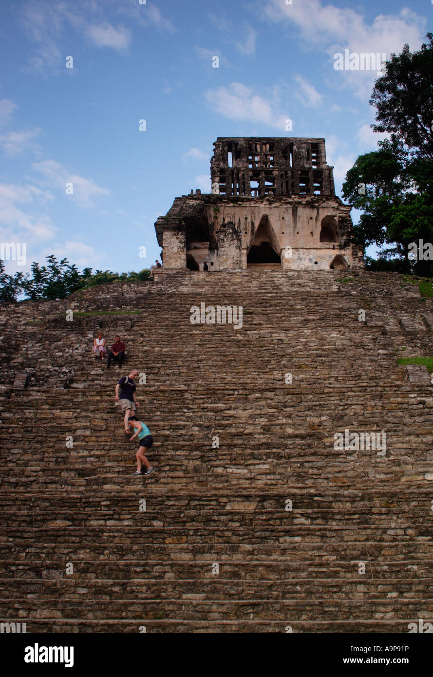 Maya archäologische Ruinen, Palenque, Chiapas, Mexiko, Tempel des Kreuzes Stockfoto