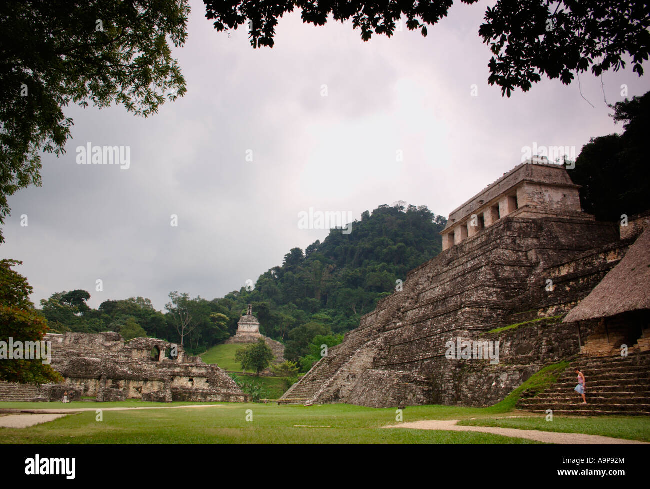 Tempel der Inschriften, Grab des Kaisers Pacal, Palenque, archäologische Maya-Ruine Standort, Chiapas, Mexiko. Stockfoto