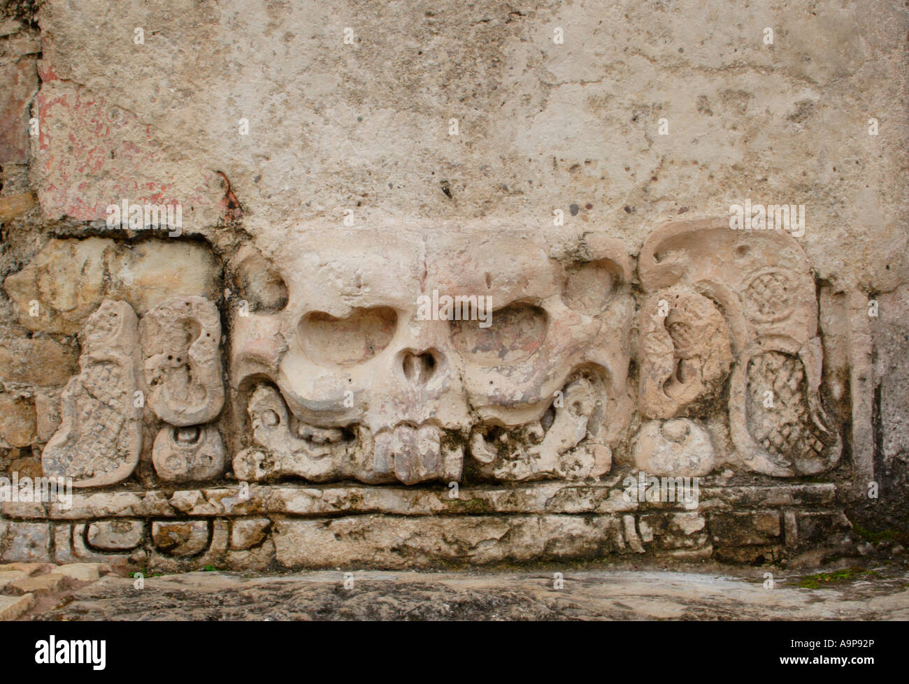 Palenque, Kaninchen Schädel Skulptur, archäologische Maya Ruine, Chiapas, Mexiko Stockfoto
