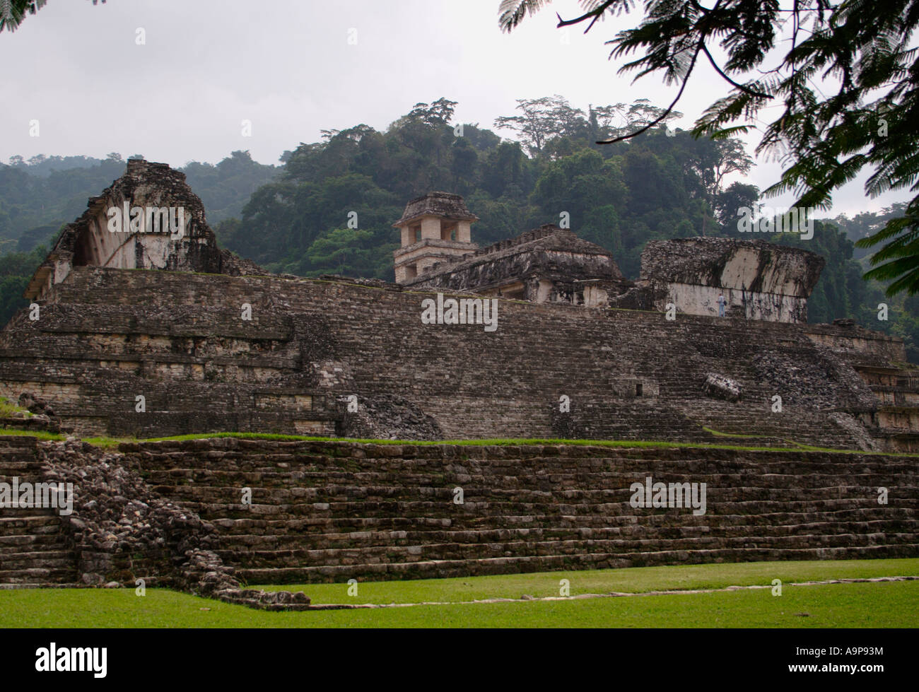 Palenque, The Palace Group, archäologische Maya Ruine, Chiapas, Mexiko Stockfoto