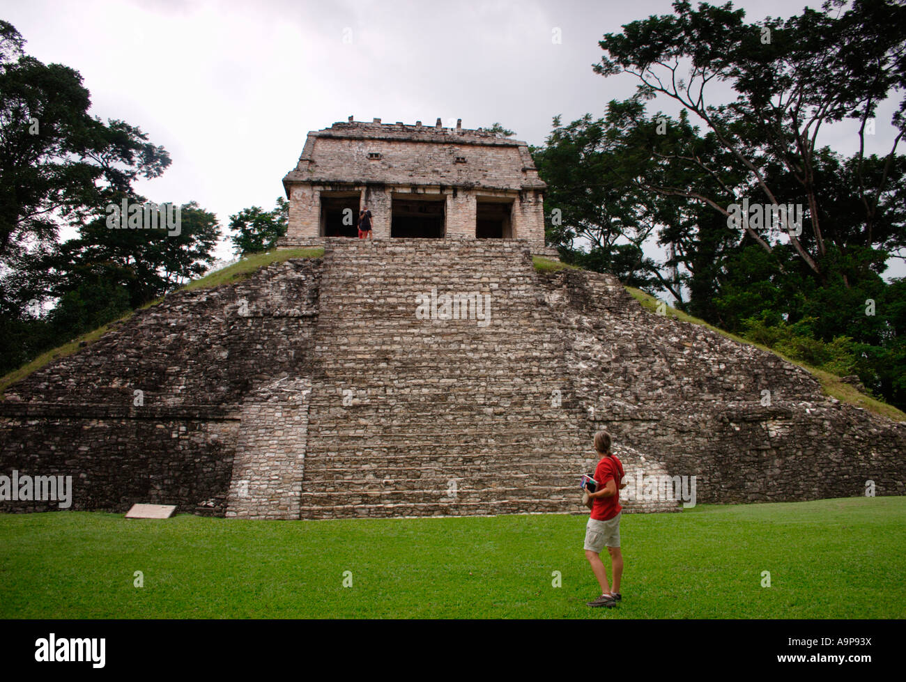 Palenque, Tempel des Grafen, archäologische Maya Ruine, Chiapas, Mexiko Stockfoto