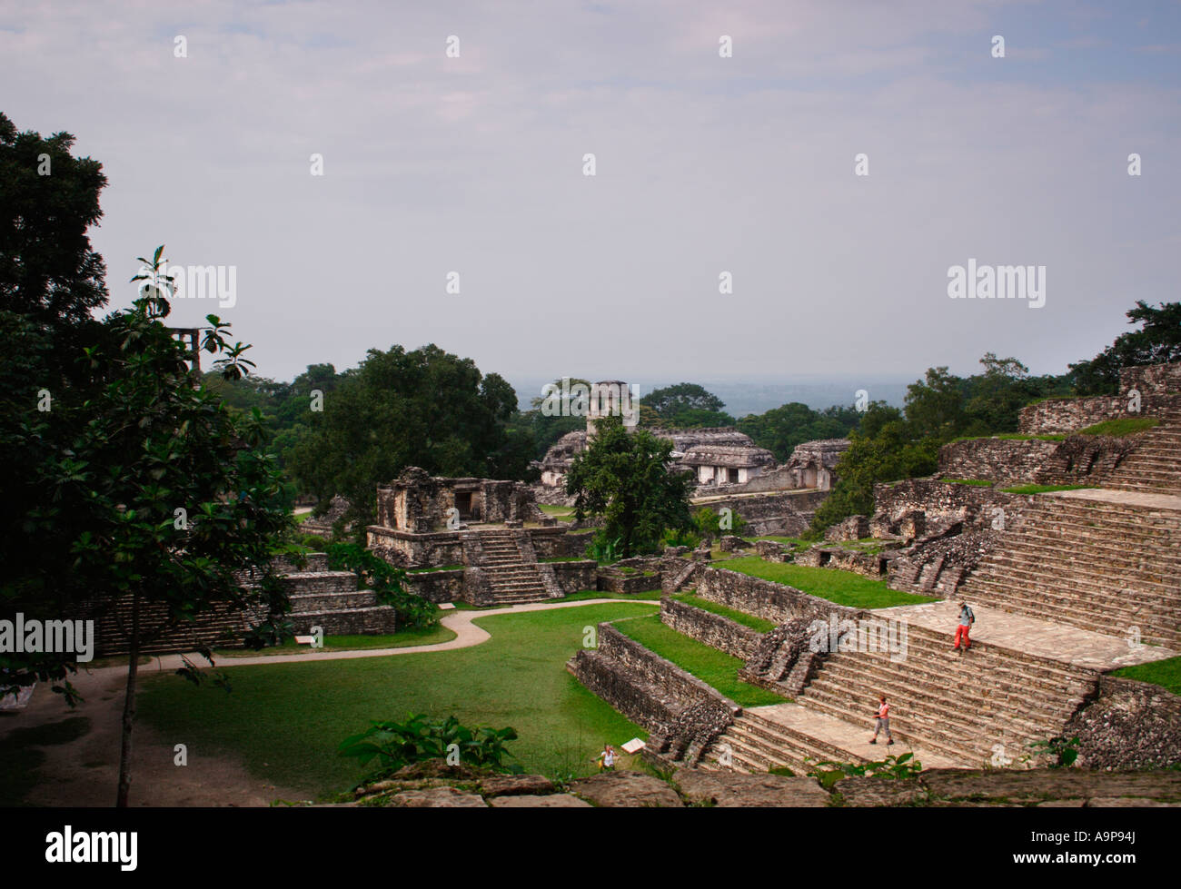 Touristen auf die Stufen des Tempels des Standortes Kreuz, Palenque, archäologische Maya-Ruine, Chiapas, Mexiko Stockfoto