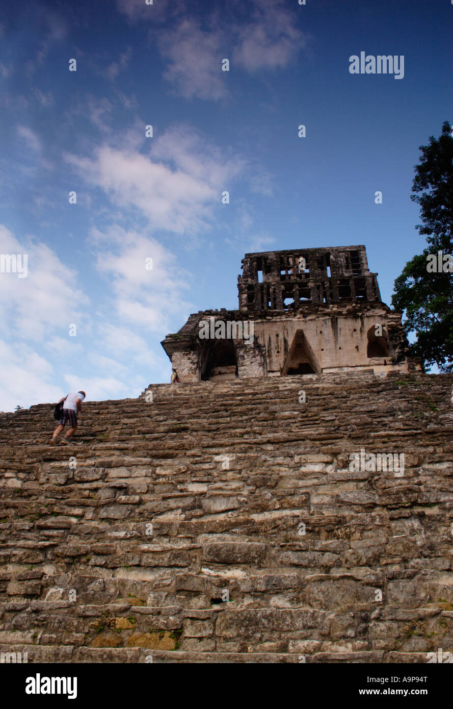 Tempel der Maya-archäologische Ruine Kreuz, Palenque, Chiapas, Mexiko Stockfoto