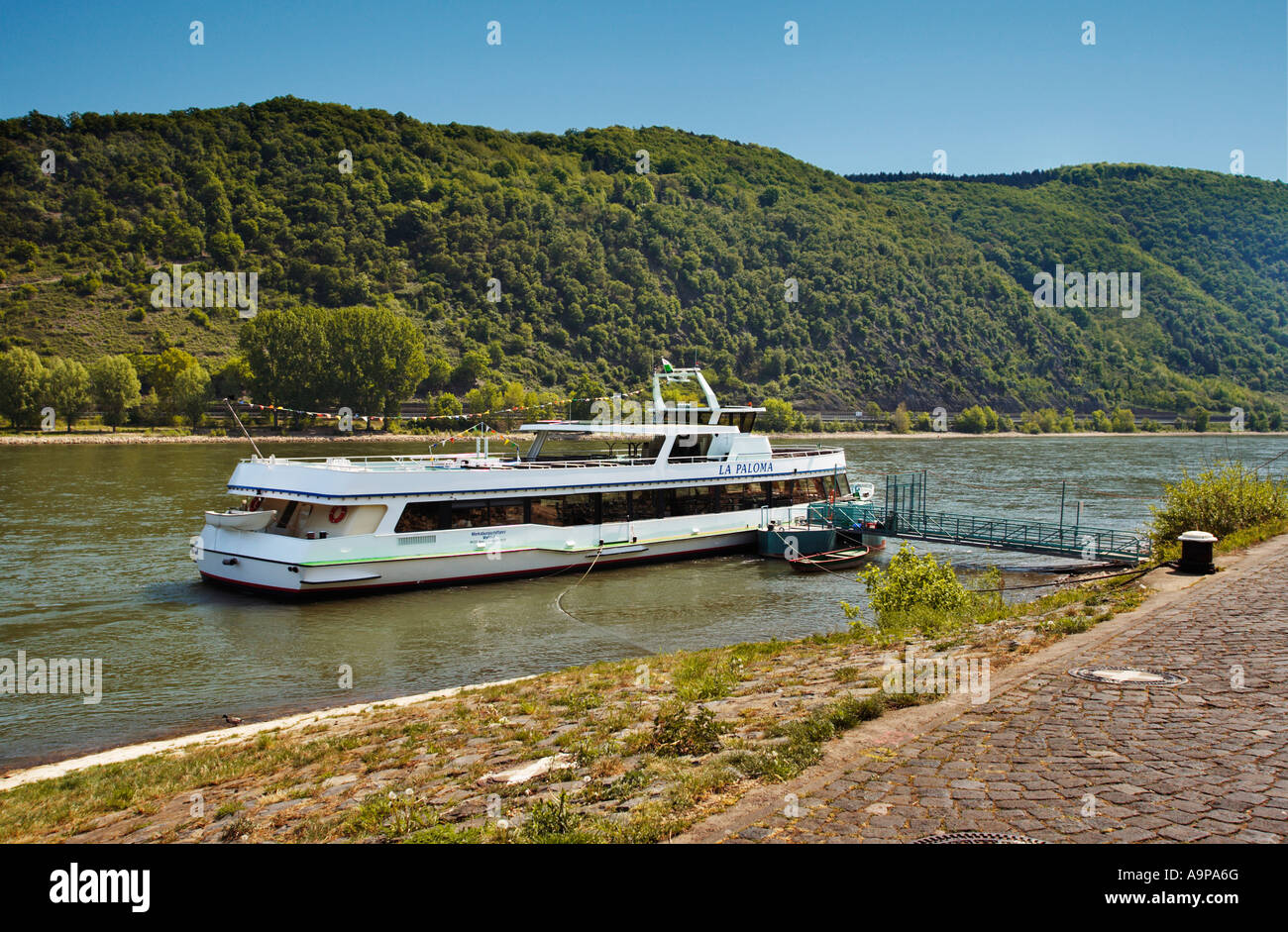 Rhein Kreuzfahrt Schiff vertäut am Spay auf dem Fluss Rhein, Deutschland, Europa Stockfoto