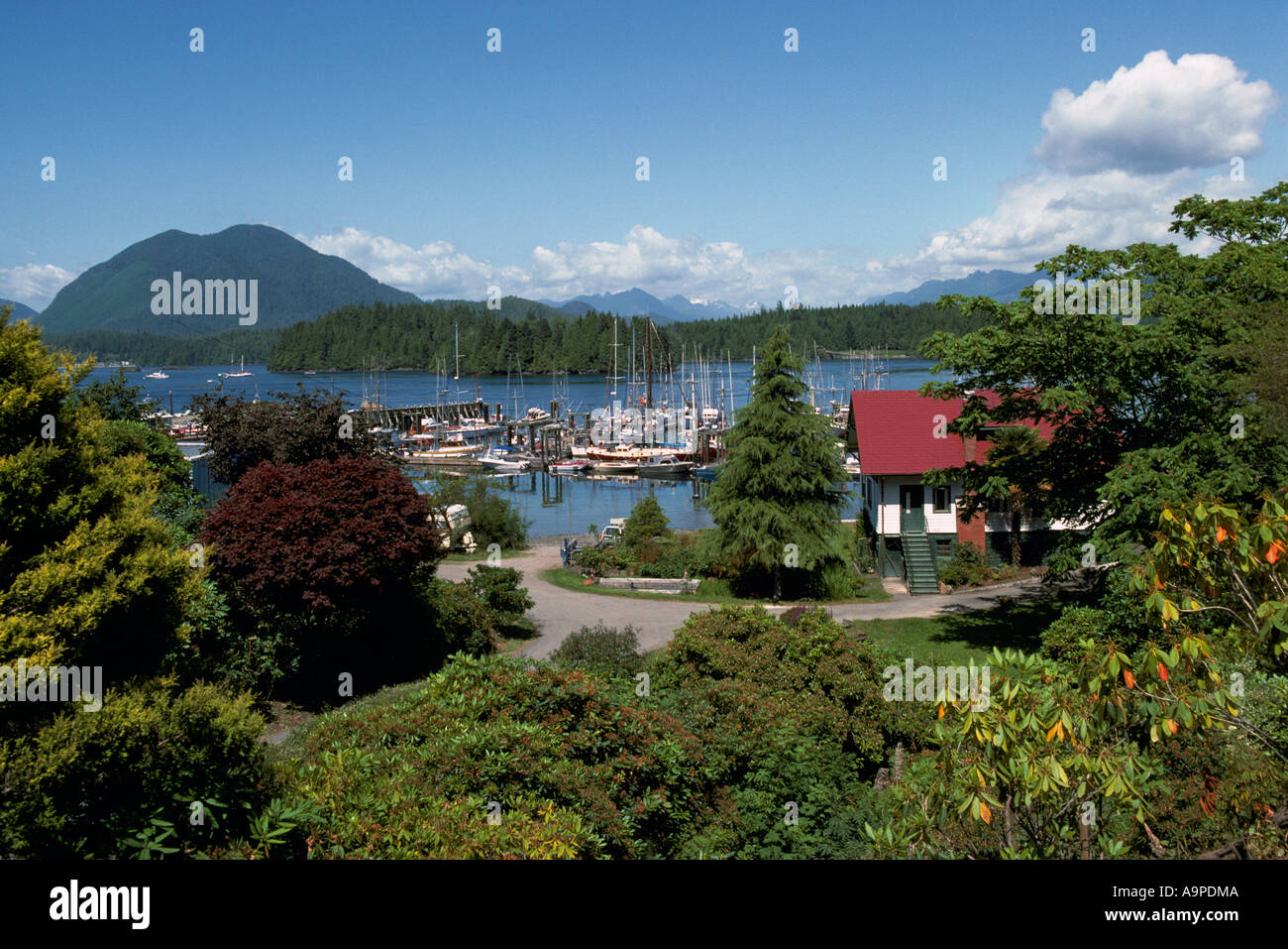 Tofino, BC, Vancouver Island, British Columbia, Kanada - malerische Aussicht von Tofino Hafen / Hafen, Westküste, Pazifischer Nordwesten Stockfoto