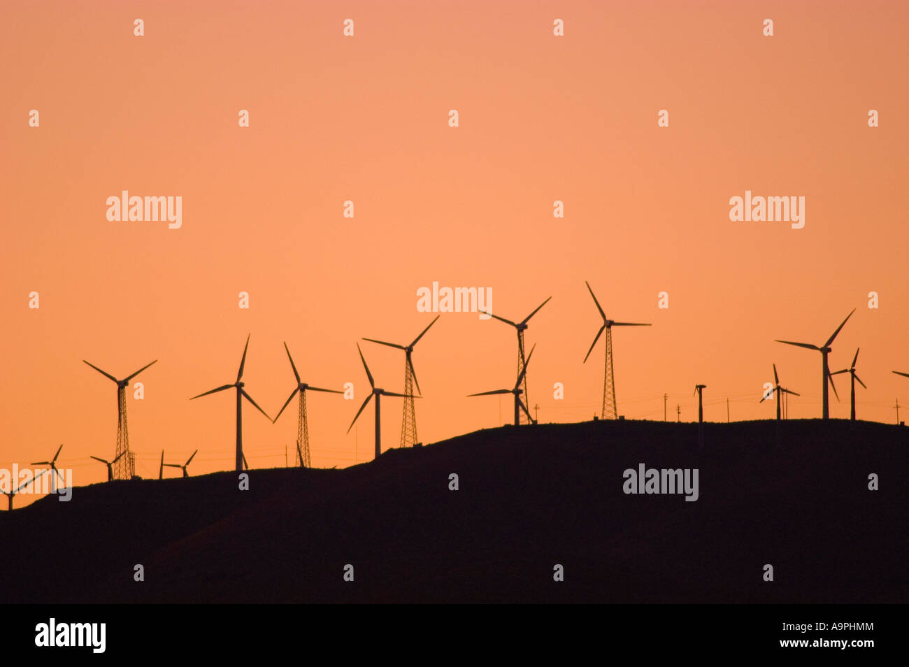 Windkraftanlagen im Windpark Tehachapi 2. größte in der Welt bei Sonnenuntergang Tehachapi Mountains Kalifornien Stockfoto