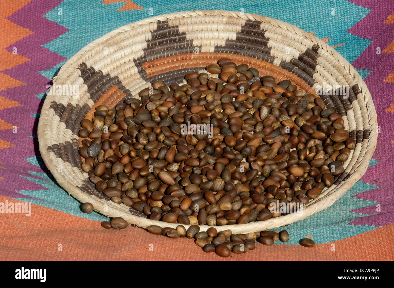 Pinon Nüsse, ein wichtiges Nahrungsmittel des Südwestlichen Native Americans in einem Korb. Digitale Fotografie Stockfoto