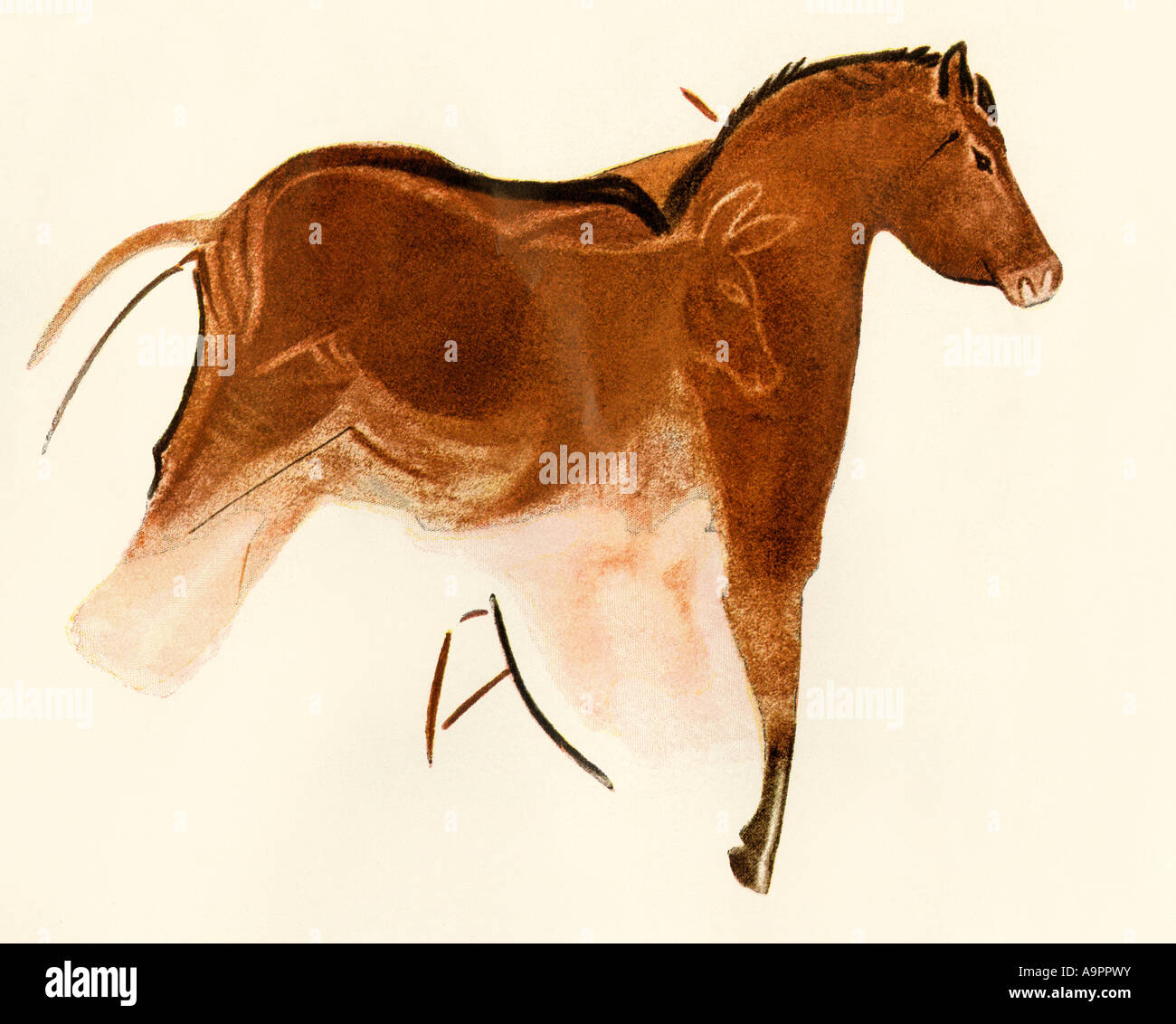 Prähistorische Höhle Gemälde von einem Pferd mit Fohlen Altamira Spanien. Farbe halftone einer Abbildung Stockfoto