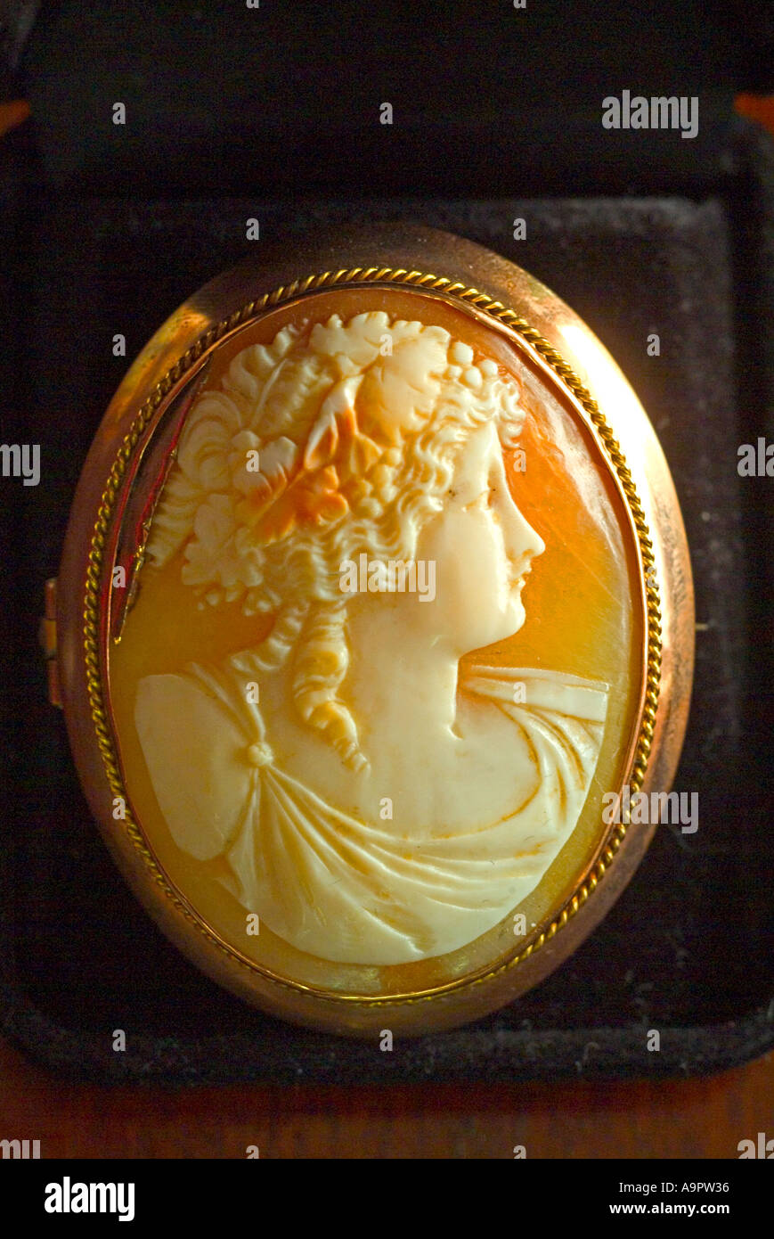 Antikes geschnitztes Kameo-Goldbrosche aus viktorianischer Zeit Stockfoto