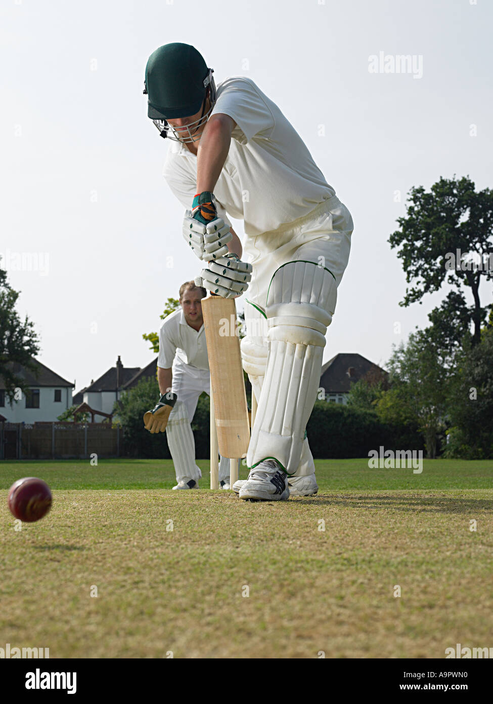 Cricketers Stockfoto