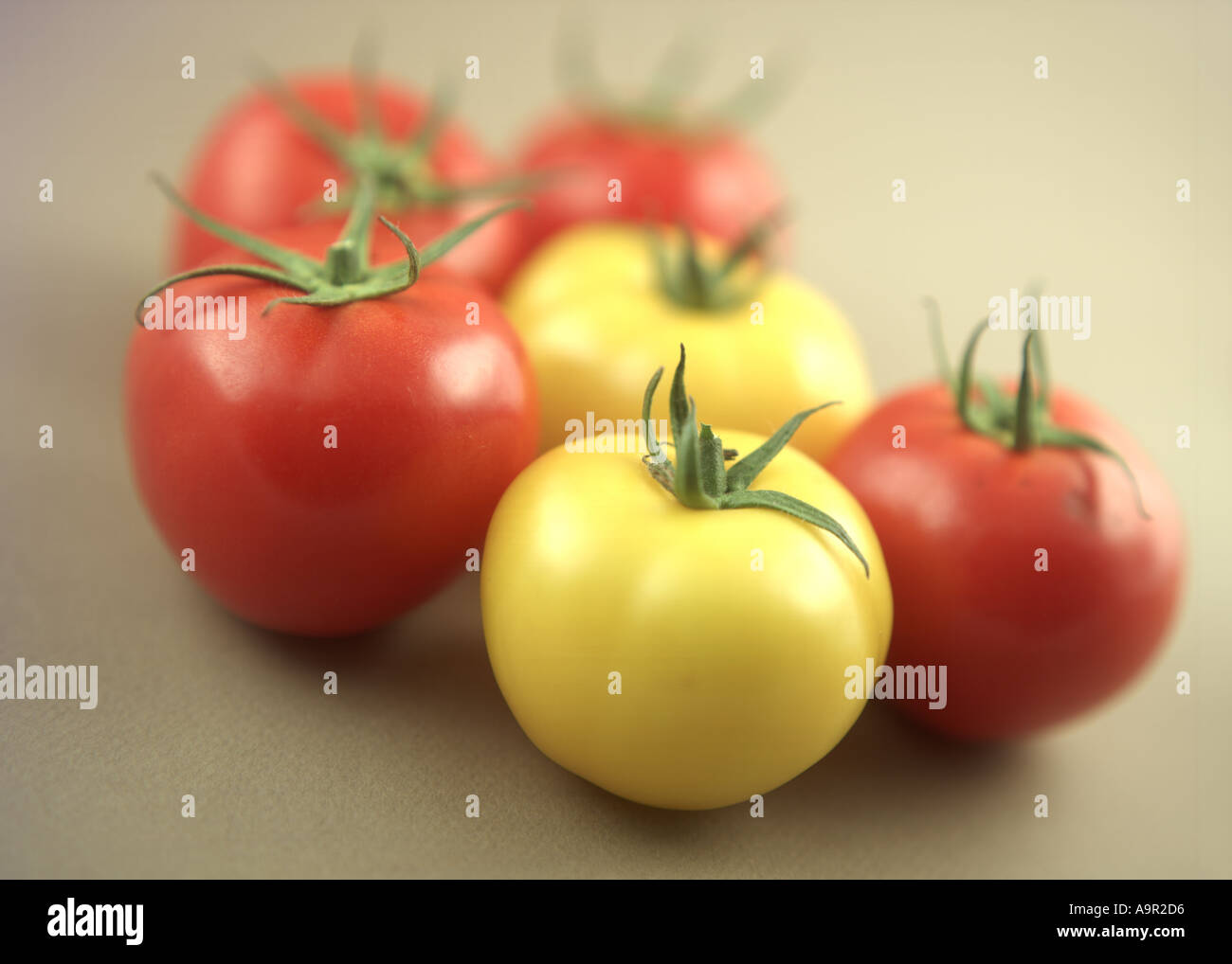 Frische rote und gelbe Tomaten Stockfoto