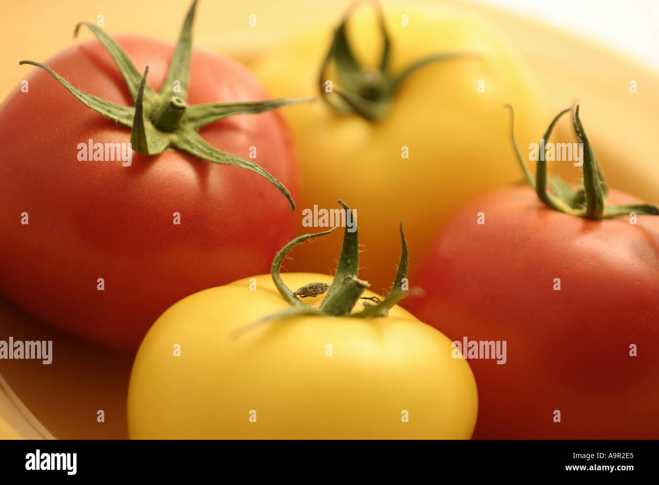 Frische rote und gelbe Tomaten Stockfoto