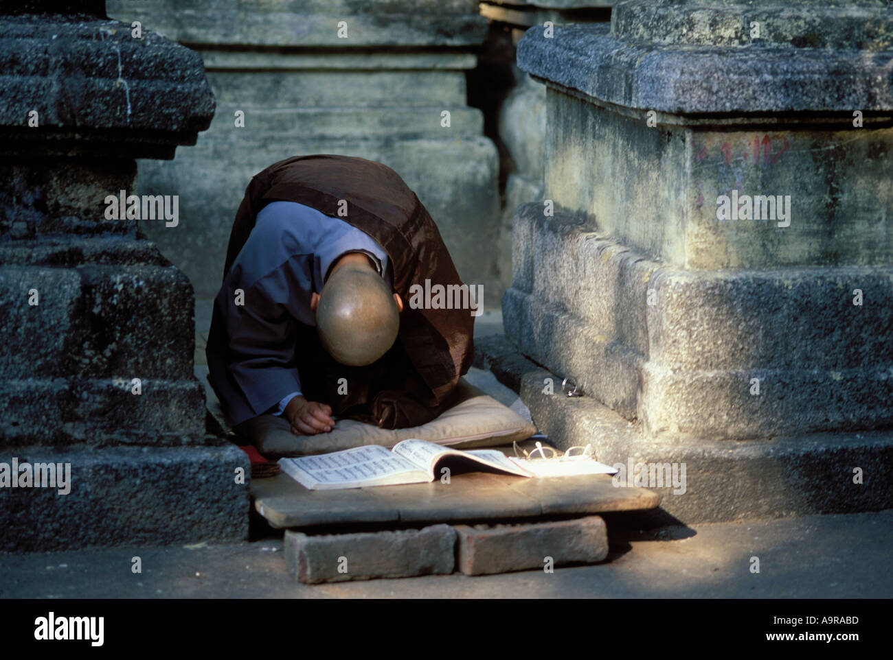 Nun praying in front of Bohi Tree, India Stockfoto