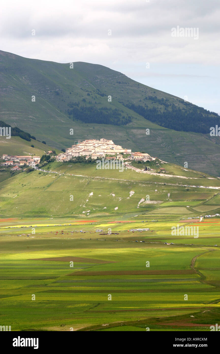 Eine wunderbare Ausstellung von Mohn und viele andere Wildblumen bedecken die Piano Grande im Nationalpark der Monti Sibillini, Le Marche, Italien Stockfoto