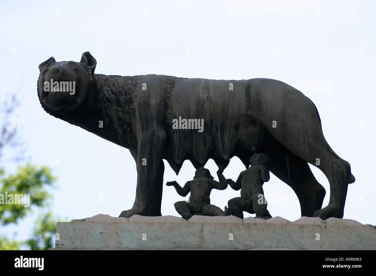Etruskische Bronze, She Wolf, mit Romulus und Remus, Statue in Rom, Italien. Stockfoto