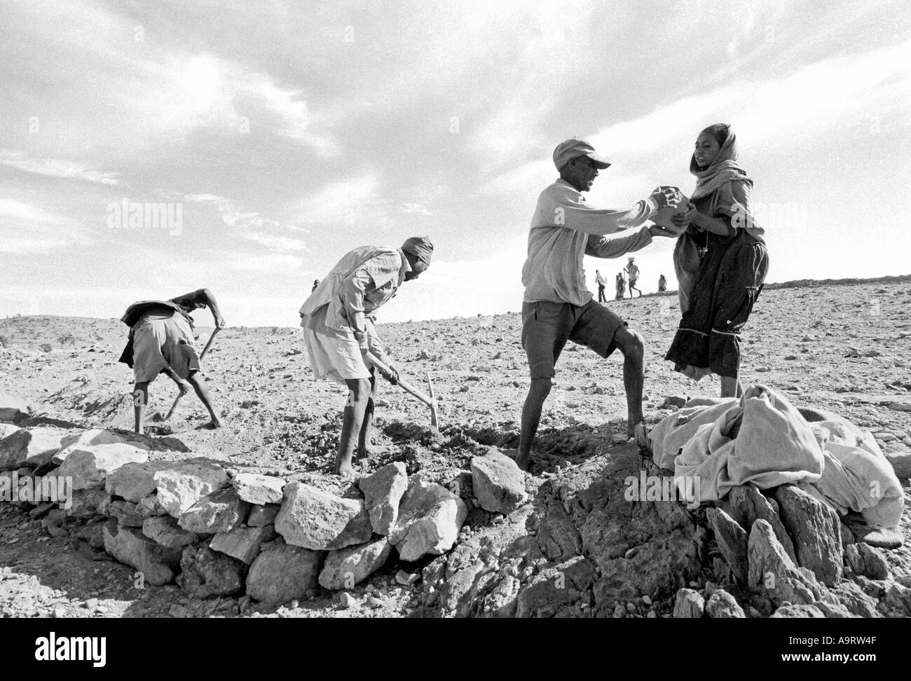 S/W von männlichen und weiblichen Dorfbewohnern auf steinerem Land, um Bodenerosion in einem Food-for-Work-Programm zu verhindern. Tigray, Äthiopien Stockfoto