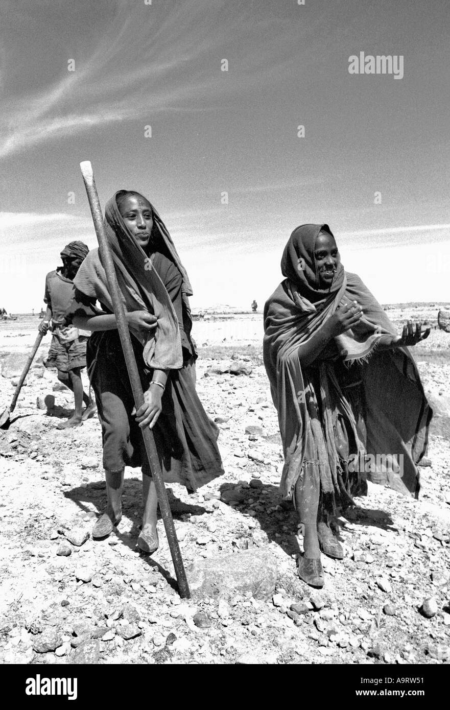 S/W von zwei ländlichen Frauen, die auf steinerem Land zur Vermeidung von Bodenerosion im Rahmen eines Programms zur Ernährung am Arbeitsplatz Terrassierung machen. Tigray, Äthiopien Stockfoto