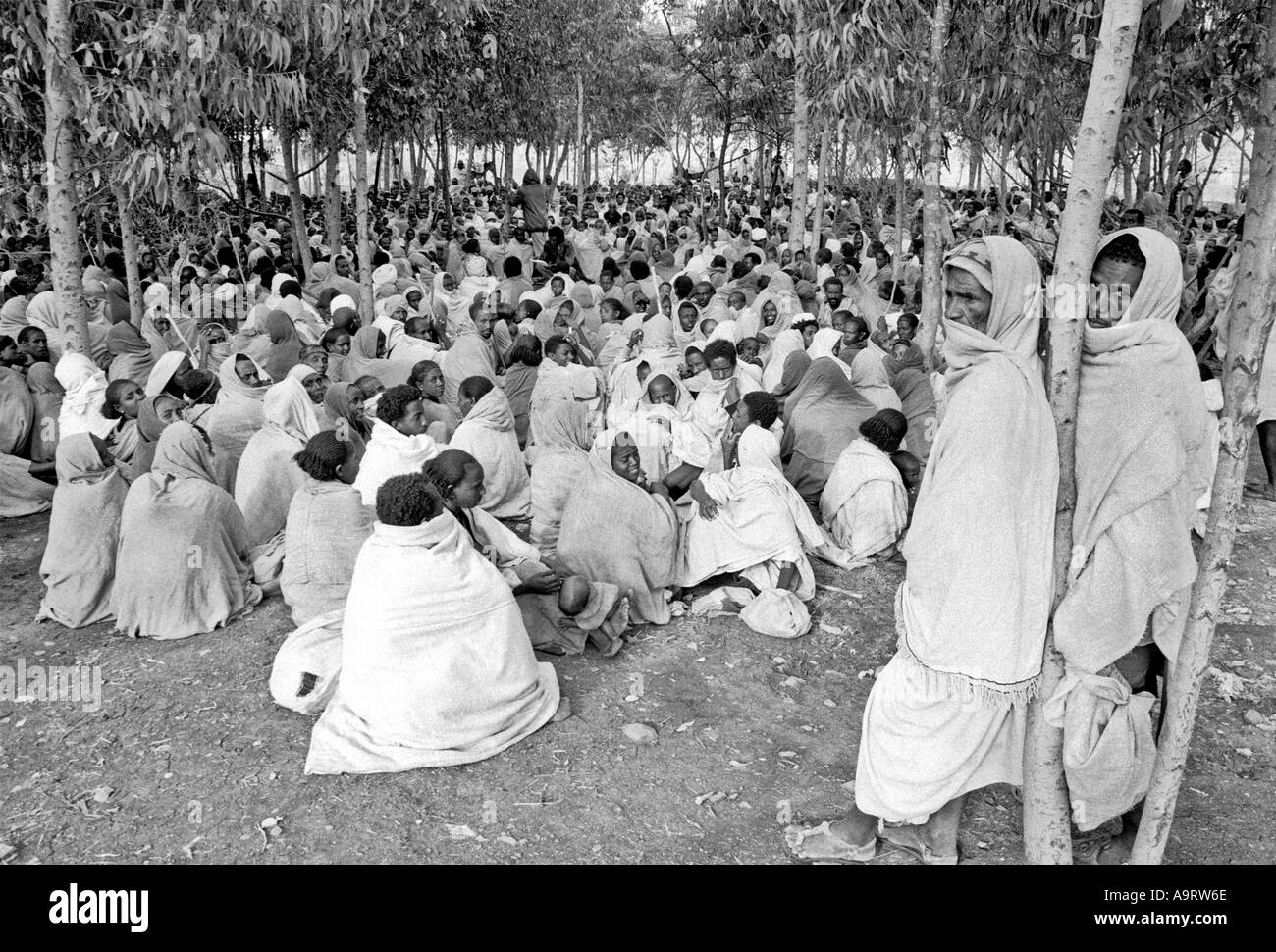 S/W von Menschen in traditioneller Kleidung, die während Hungersnot und Bürgerkrieg in einem Verteilungszentrum unter Bäumen auf Nahrungsmittelhilfe warten. Mekelle, Tigray, Äthiopien Stockfoto