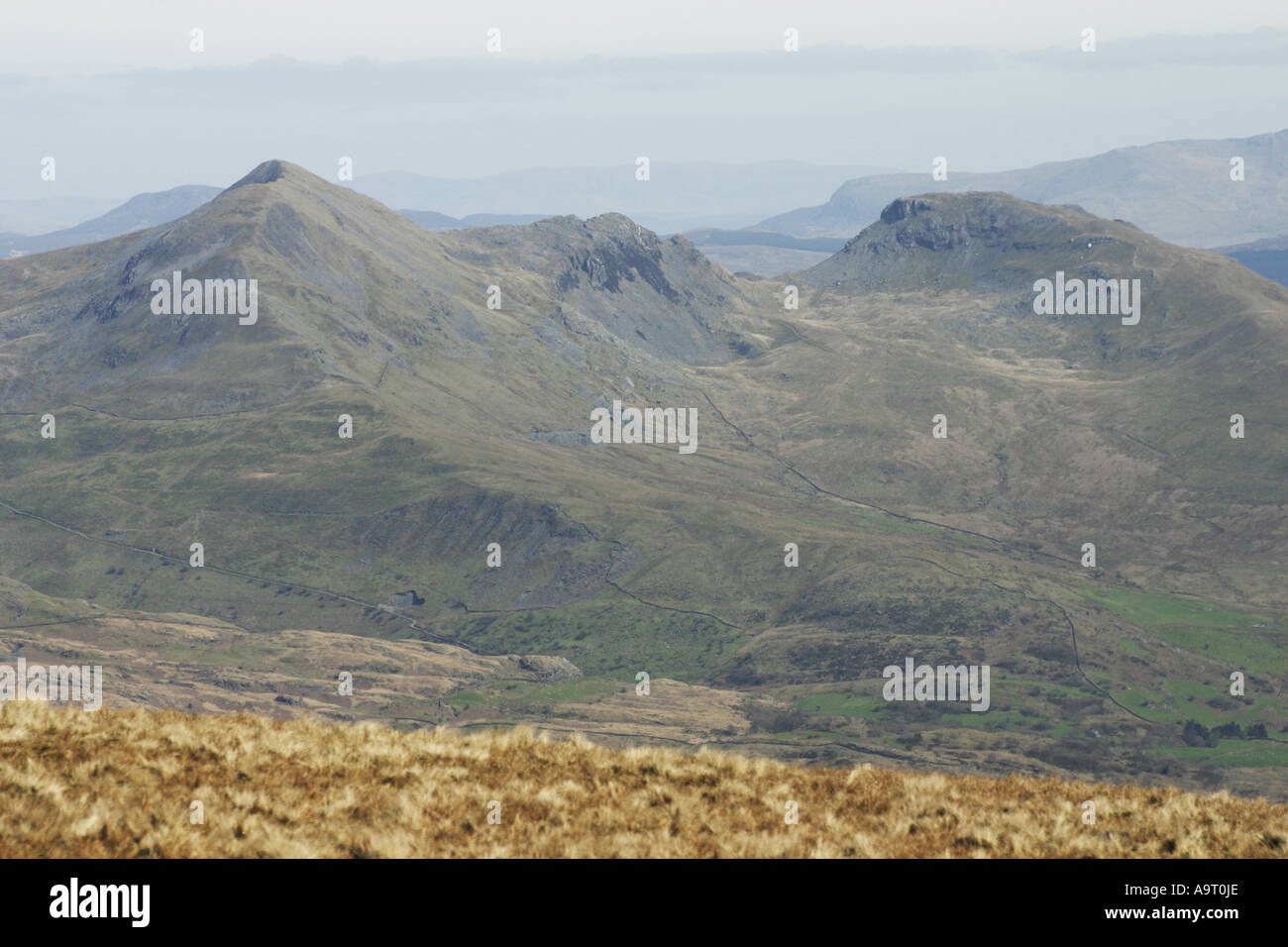 Moelwyns von Moel Hebog in Snowdonia, Wales Stockfoto
