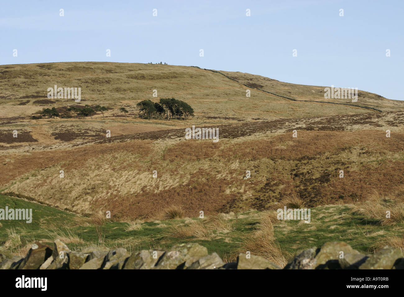 Verliebte sich in den North Pennines von Cumbria Talkin Stockfoto