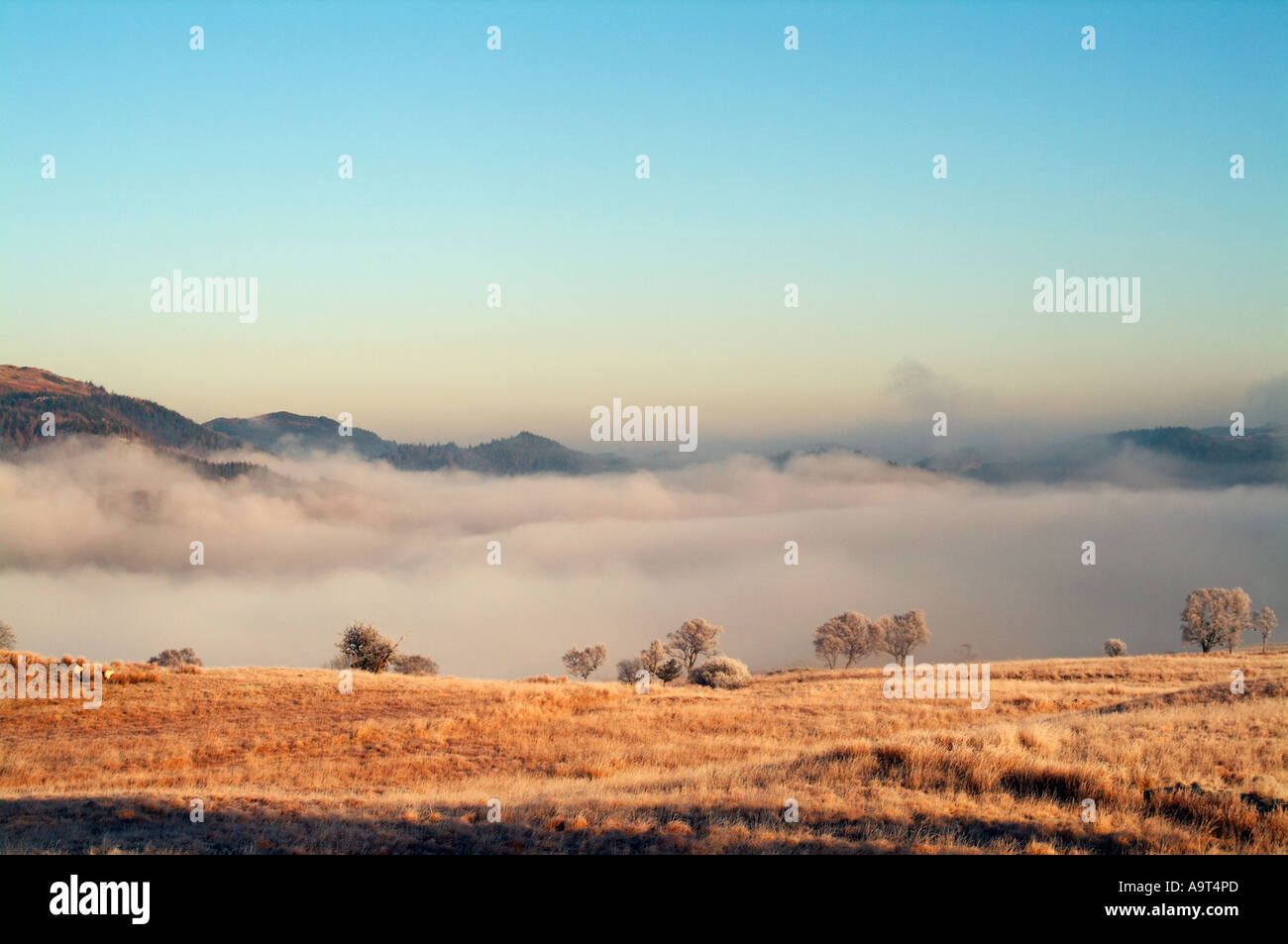 Die Gebirgskette Carneddau steigt aus dem Morgennebel an einem Wintermorgen in Snowdonia-Nationalpark. Stockfoto