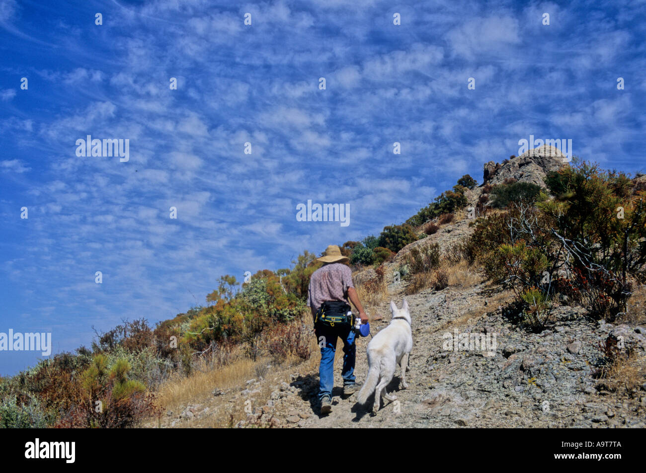 Wanderer und Hund in der Nähe von Sandstein Gipfel im Kreis X Ranch, Kalifornien Stockfoto