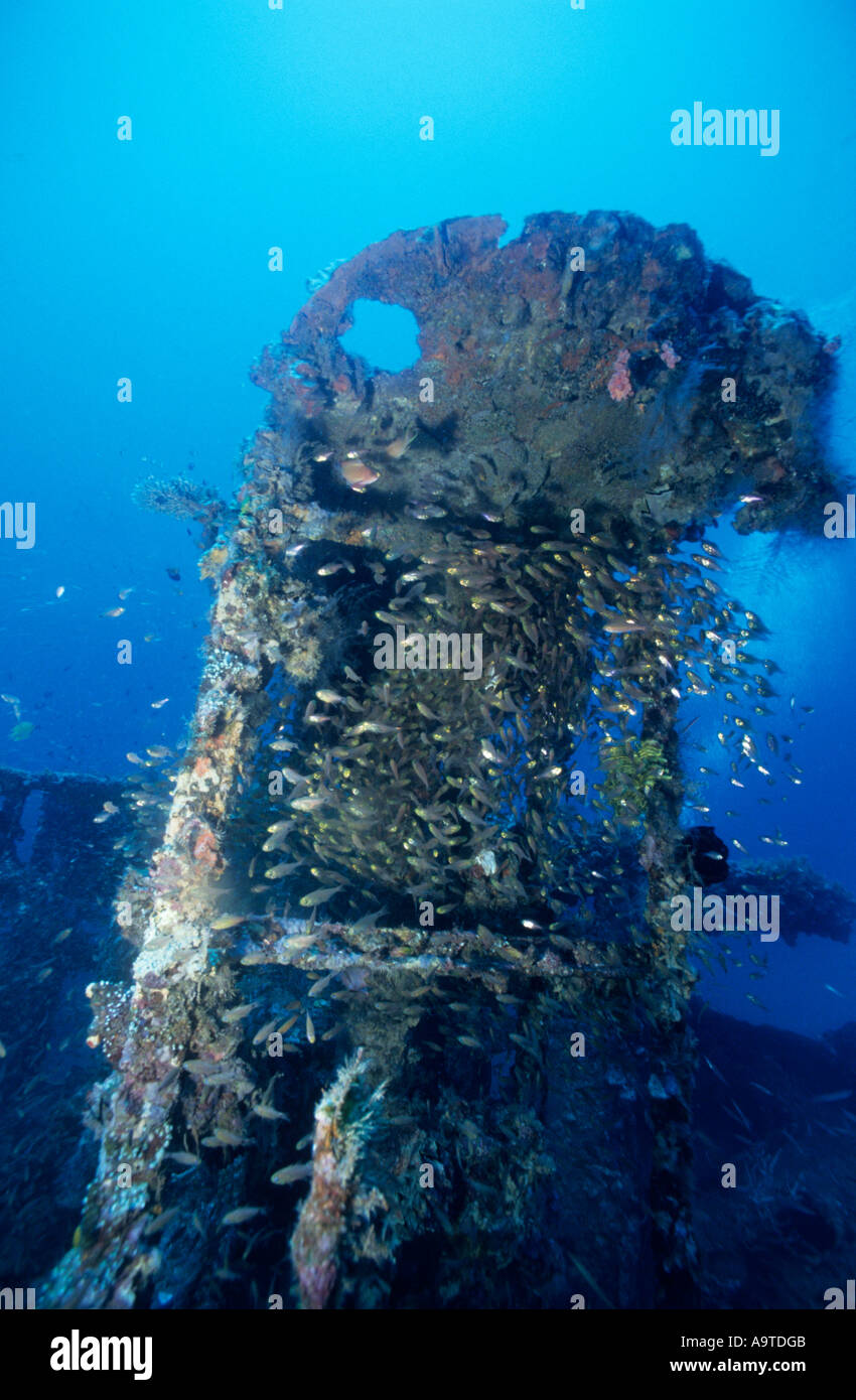Aufbau des Nanshin Maru Wracks schwarz Insel Coron Insel Palawan Philippinen Stockfoto