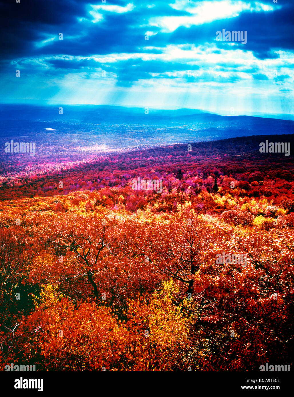 USA NYS Catskill Mt Stockfoto